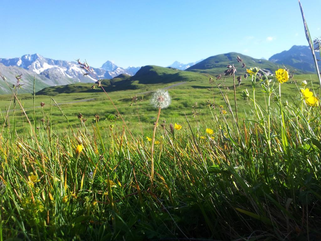 Berggasthaus Tannalp Frutt Buitenkant foto